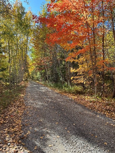 Picture14