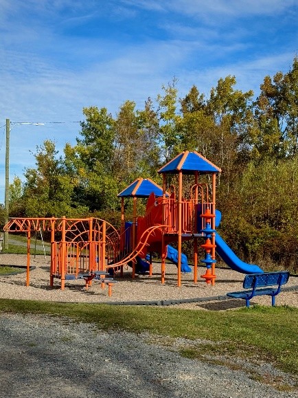 Picture15