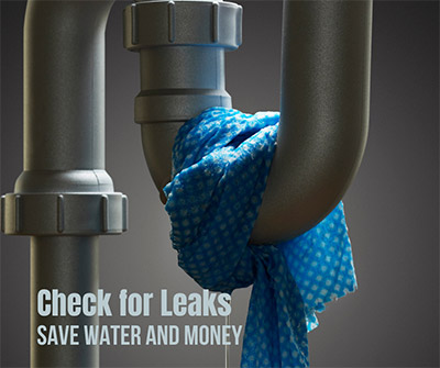 Check for Leaks and Save Money